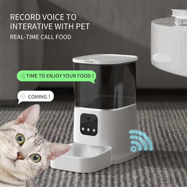 Pets Bowl